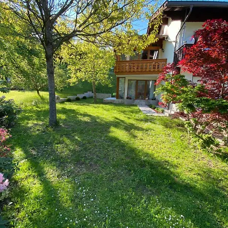 Guest house Kramser 4*