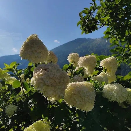 Kramser Affittacamere 4*