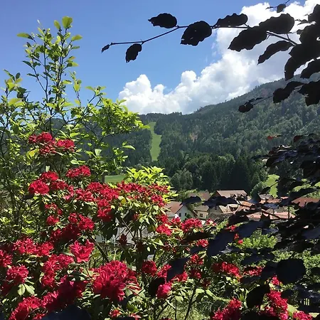 بيت ضيافة Kramser أرنولدشتاين