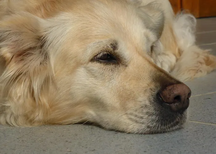 Kramser Guest house Arnoldstein