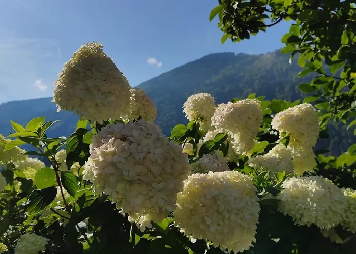 Kramser Guest house 3*