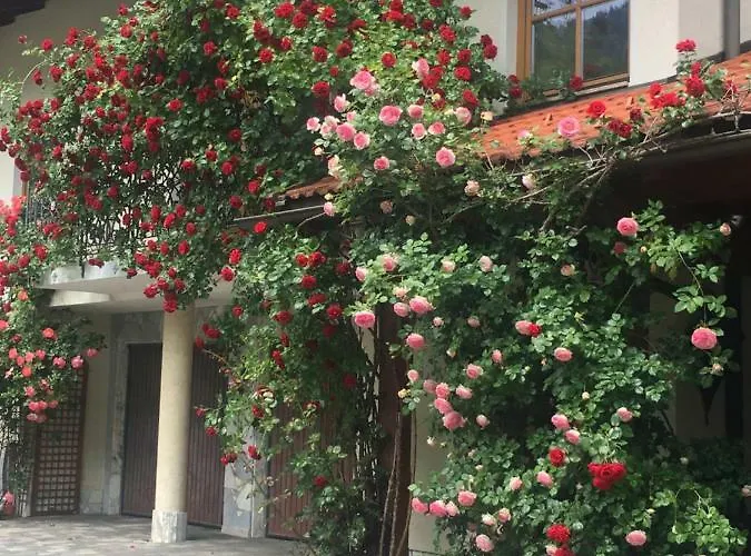 Kramser Guest house 4*